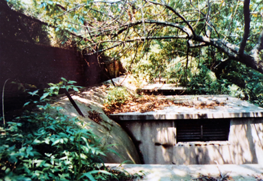 多彩同盟·(中国区)官方网站入口