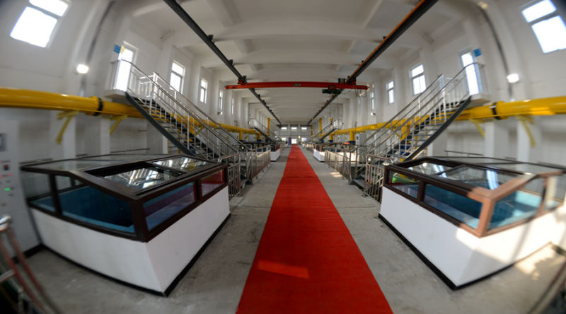 多彩同盟·(中国区)官方网站入口