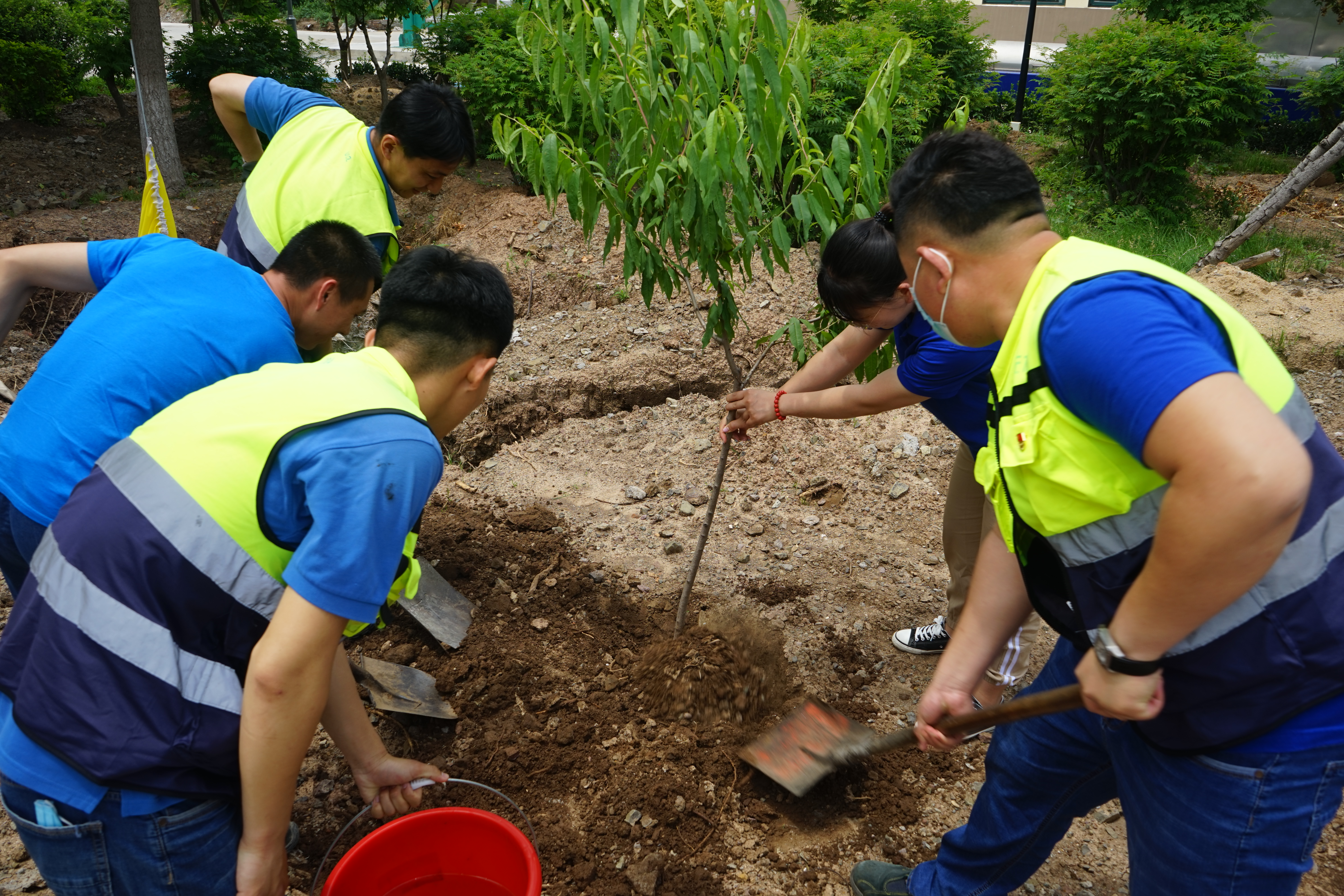 多彩同盟·(中国区)官方网站入口