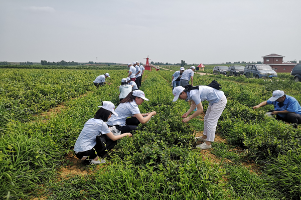 多彩同盟·(中国区)官方网站入口