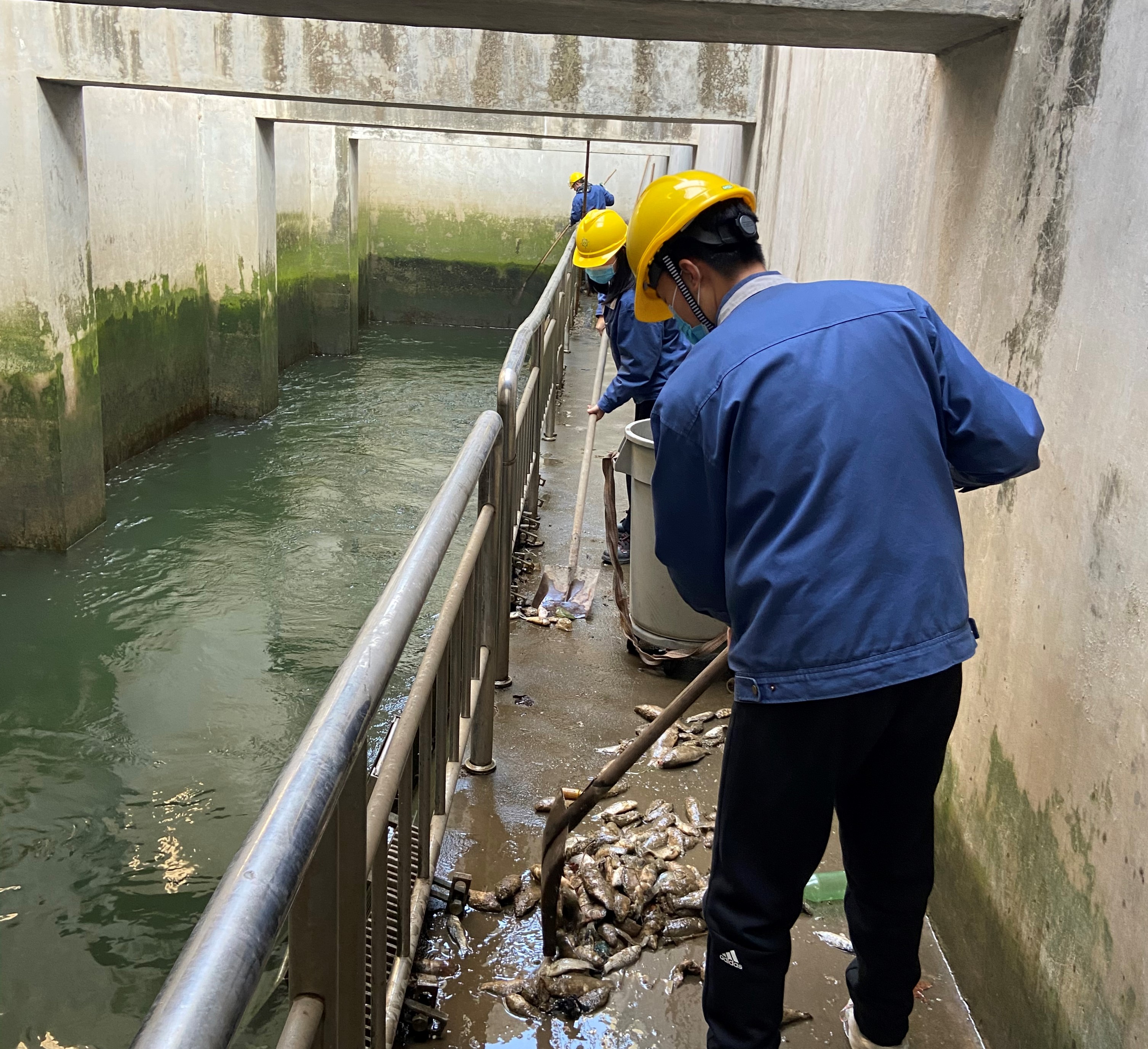 多彩同盟·(中国区)官方网站入口