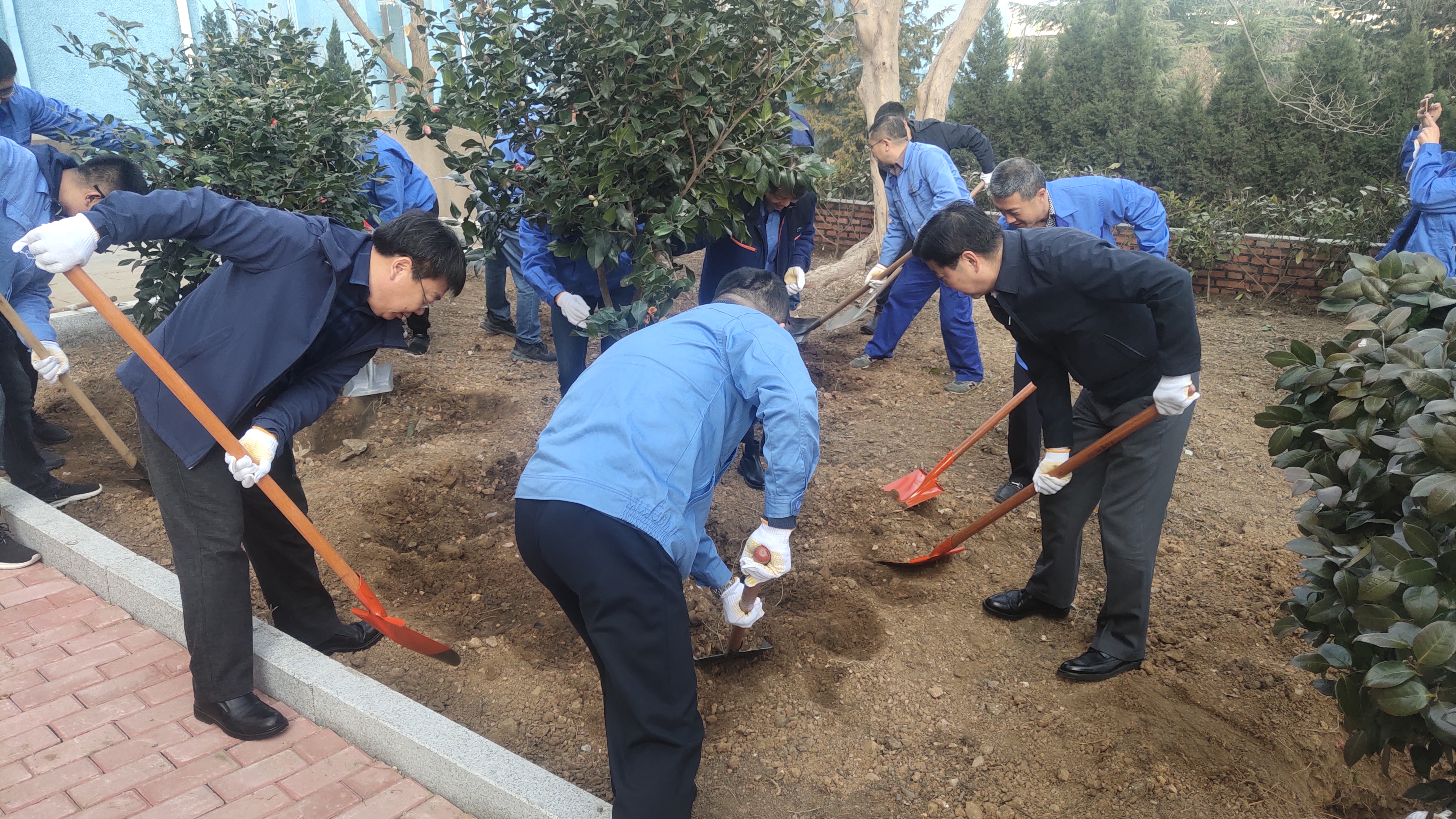 多彩同盟·(中国区)官方网站入口