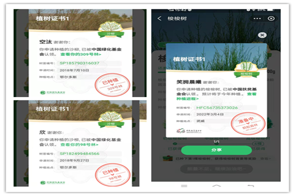 多彩同盟·(中国区)官方网站入口