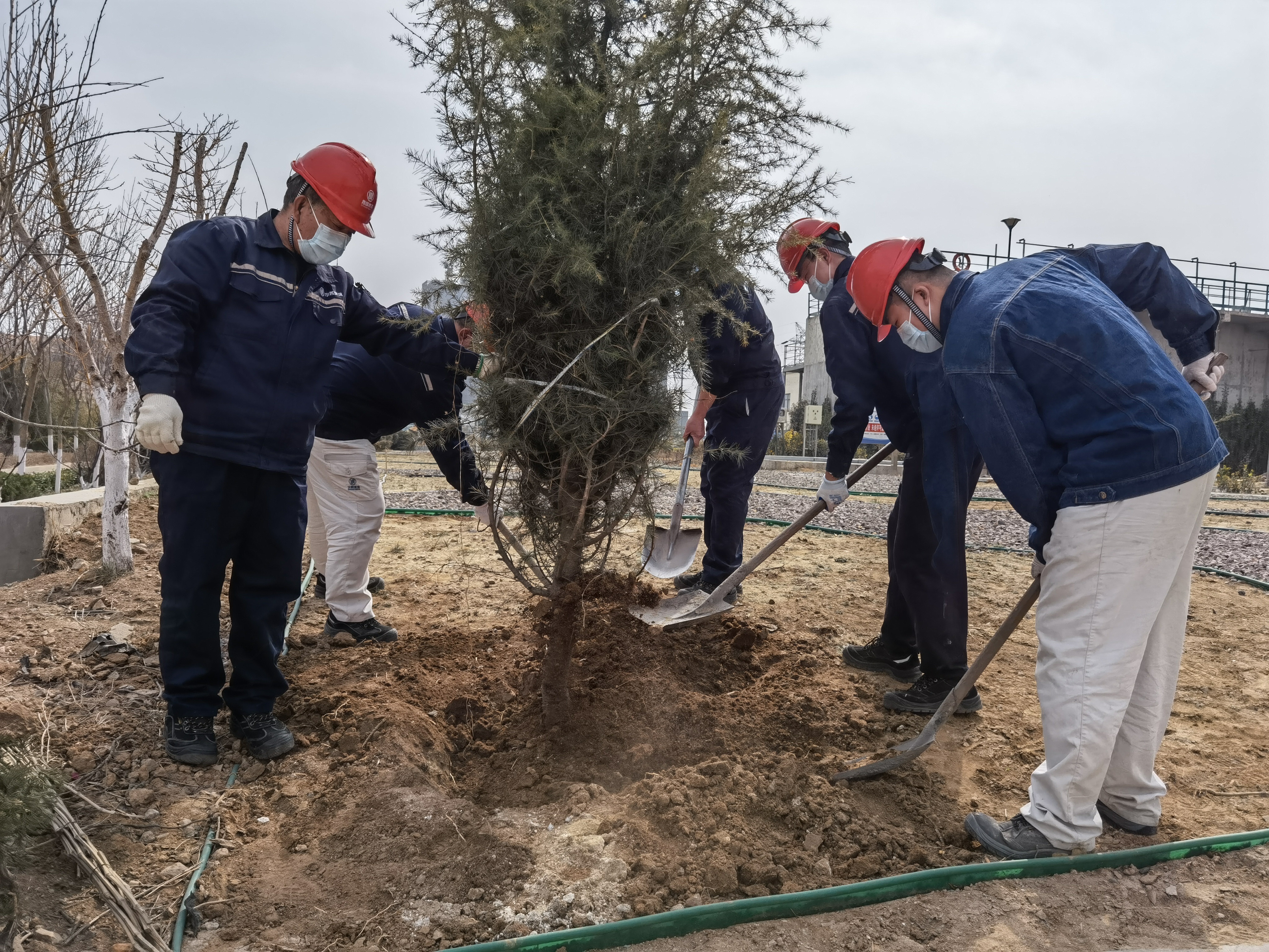 多彩同盟·(中国区)官方网站入口