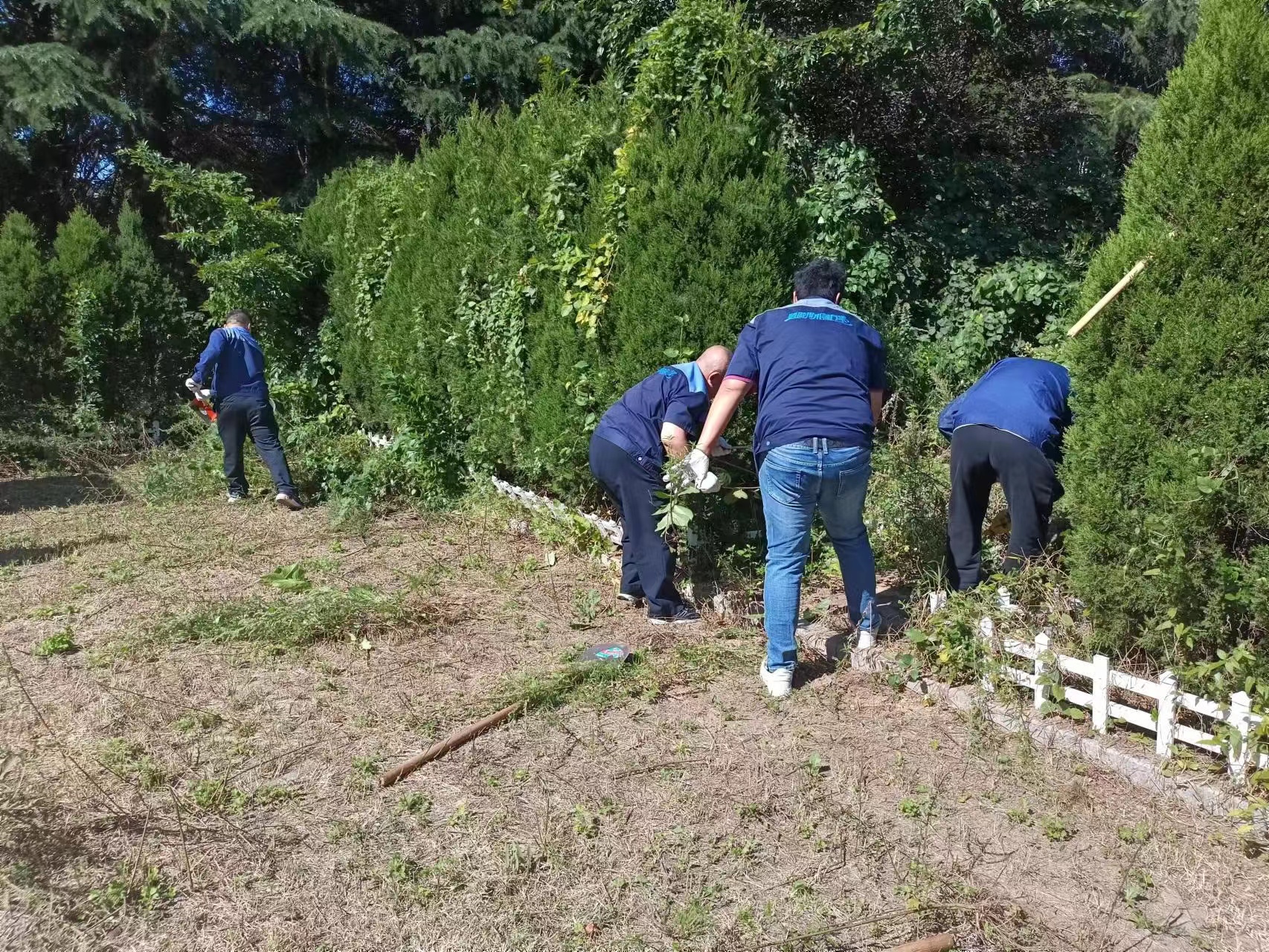 多彩同盟·(中国区)官方网站入口