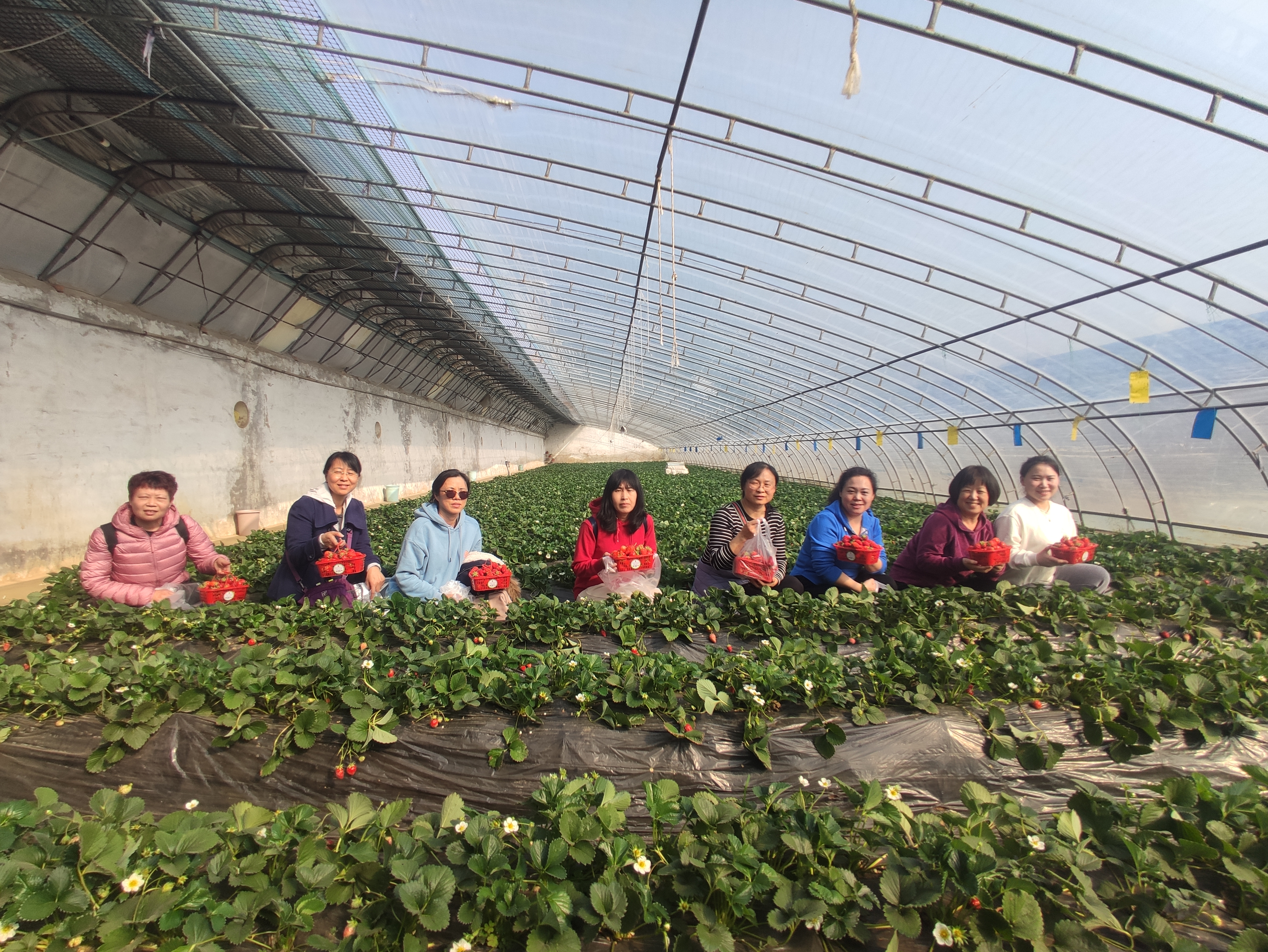 多彩同盟·(中国区)官方网站入口