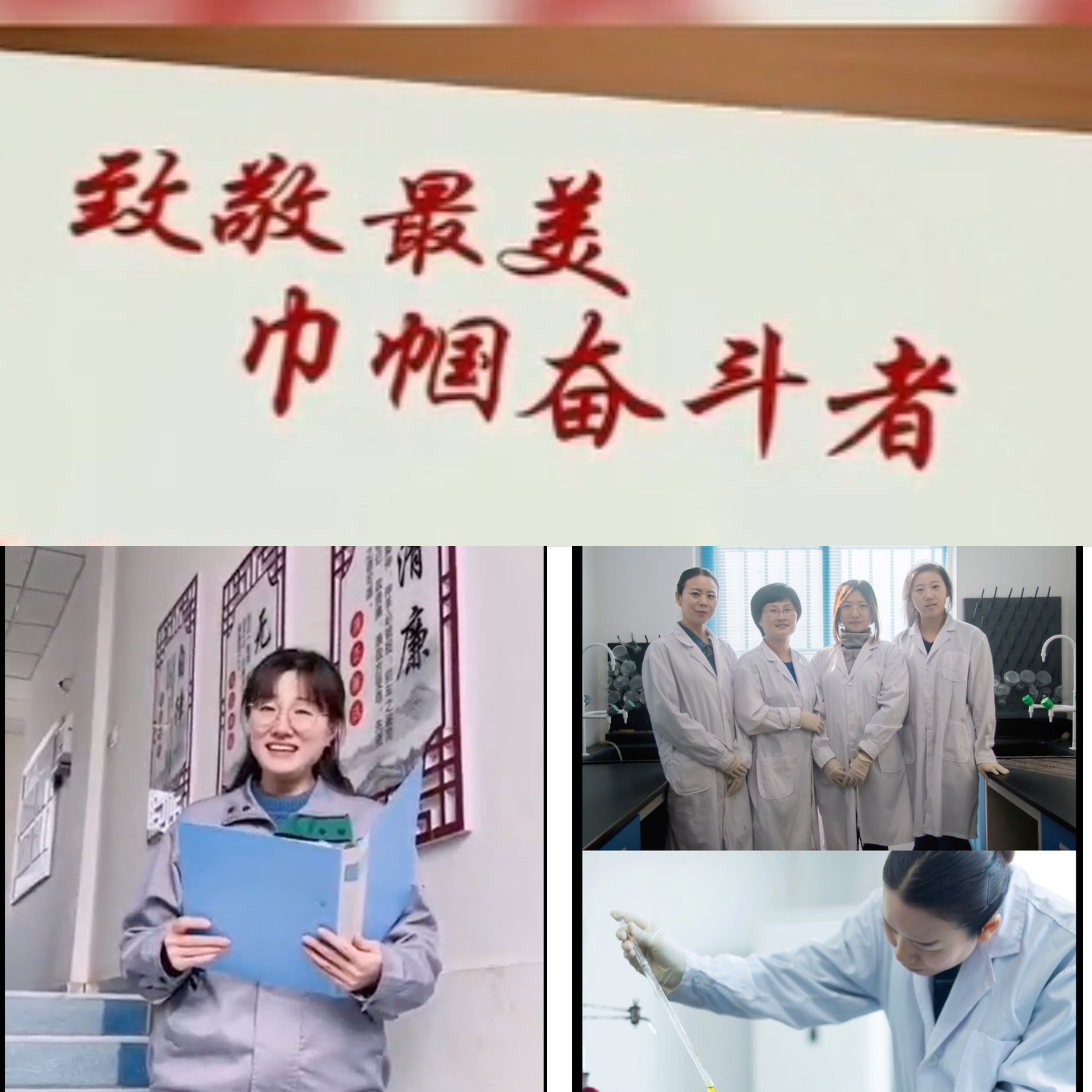 多彩同盟·(中国区)官方网站入口