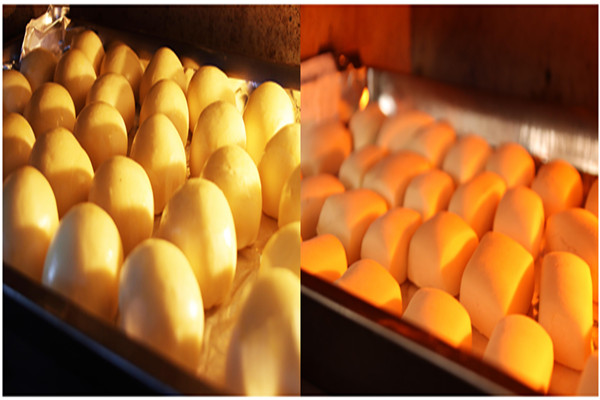 多彩同盟·(中国区)官方网站入口