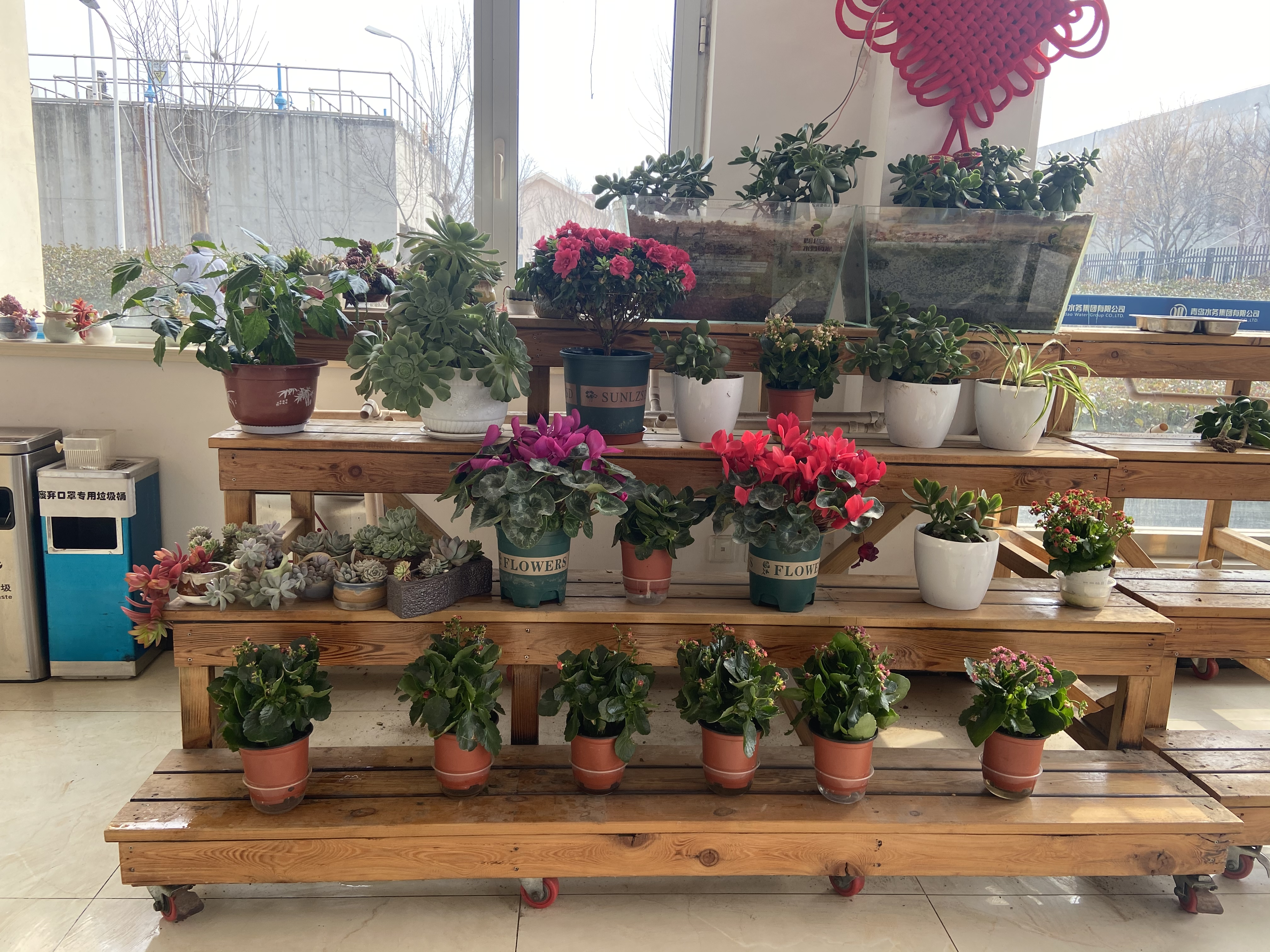 多彩同盟·(中国区)官方网站入口